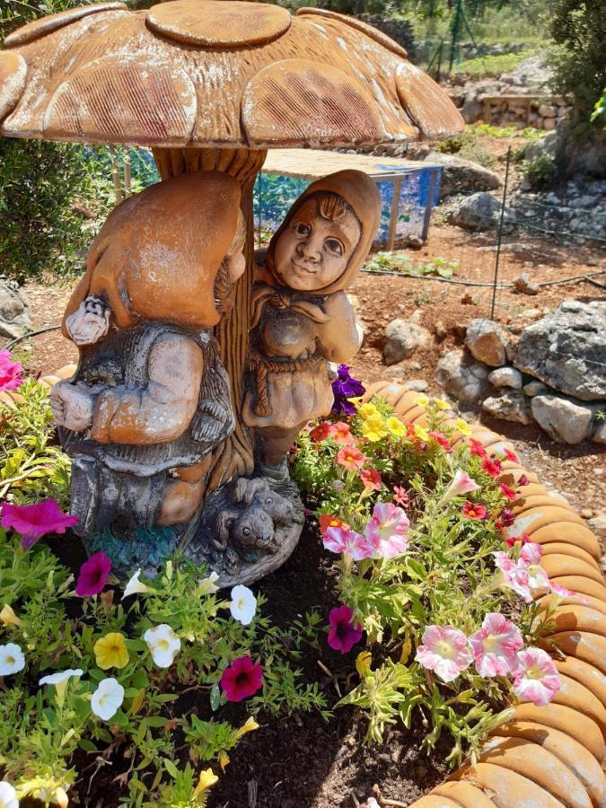 Casa Lennisa Bed & Breakfast Campell Luaran gambar